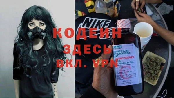 мяу мяу мука Магас
