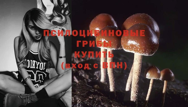 прущий лед Магадан