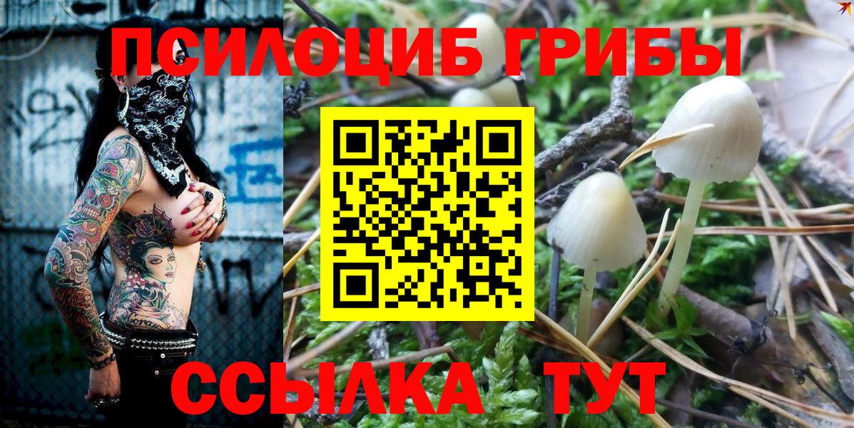 Галлюциногенные грибы Cubensis Нижневартовск